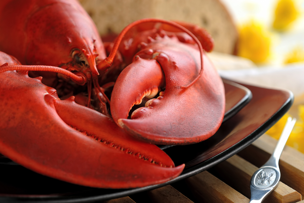 How To Prepare Maine Lobster Like Locals Do