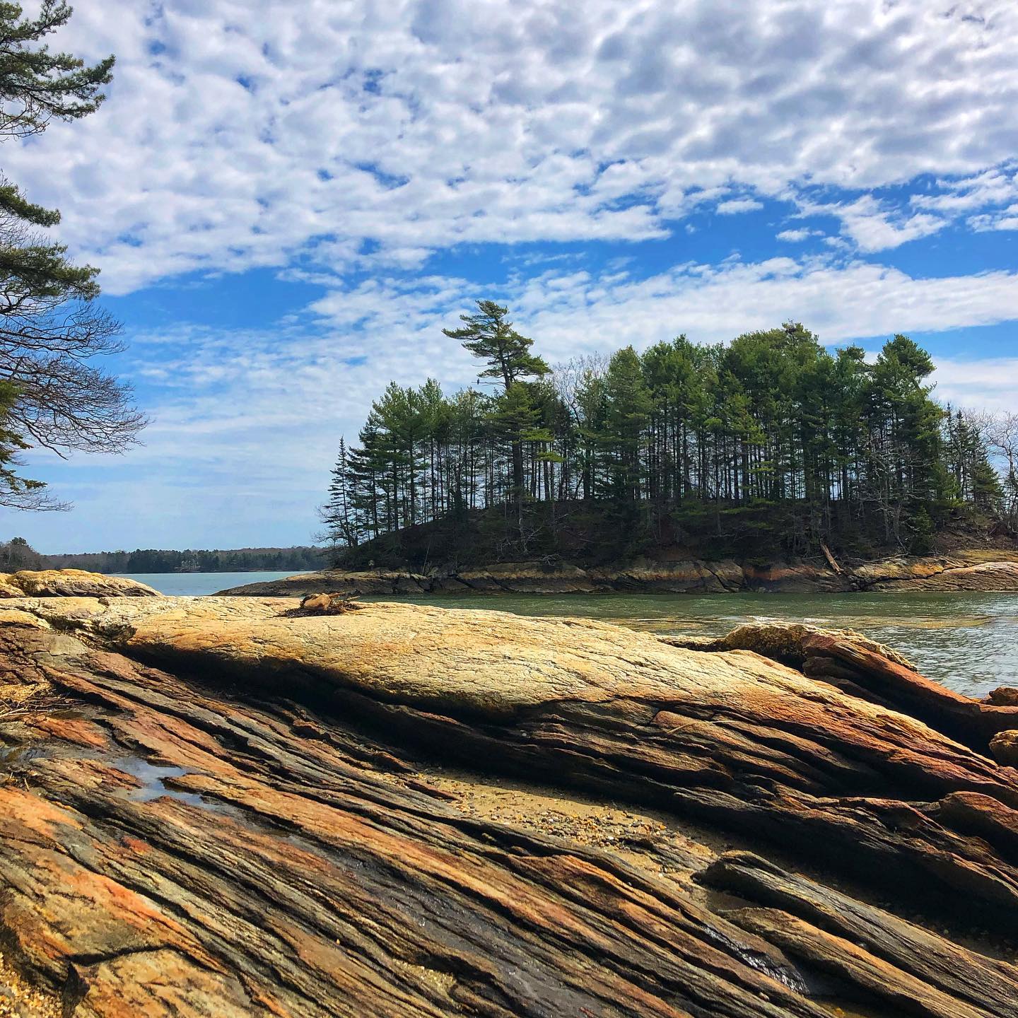 Destination Freeport: A Visitors Guide