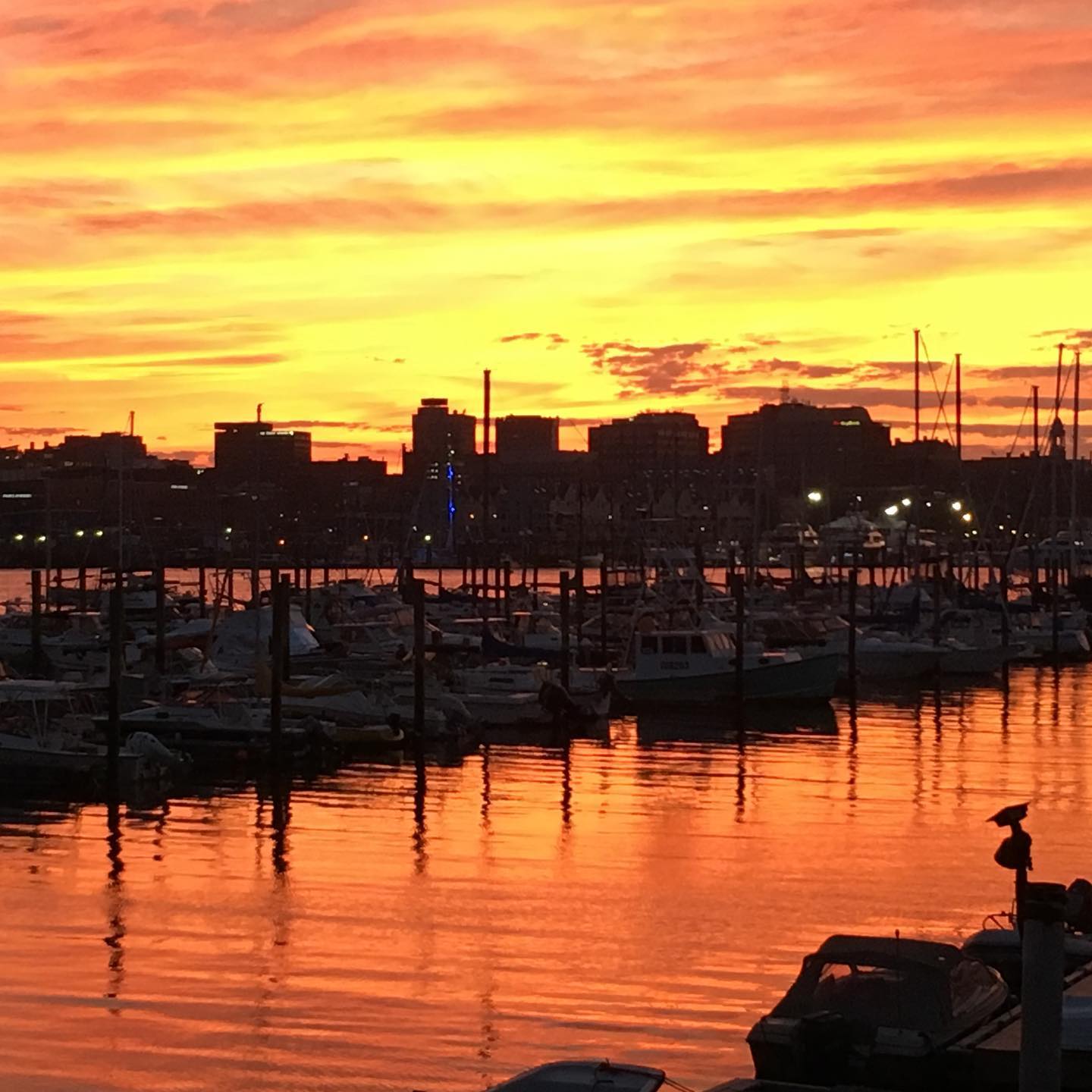 The Best Walking Tours Around Portland, Maine