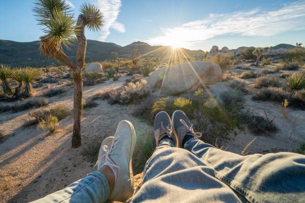 joshua tree national park