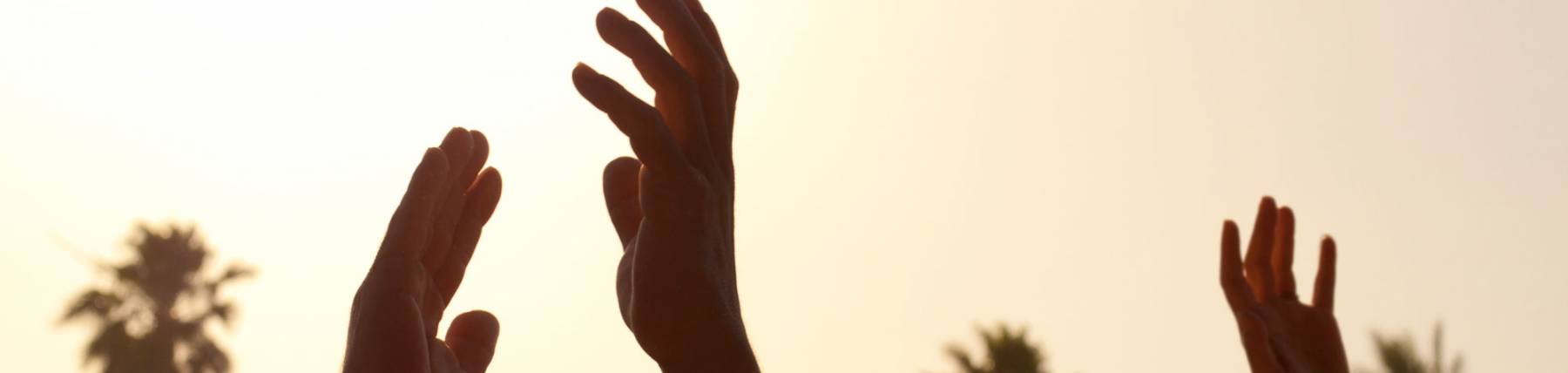 hands in the air with palm trees