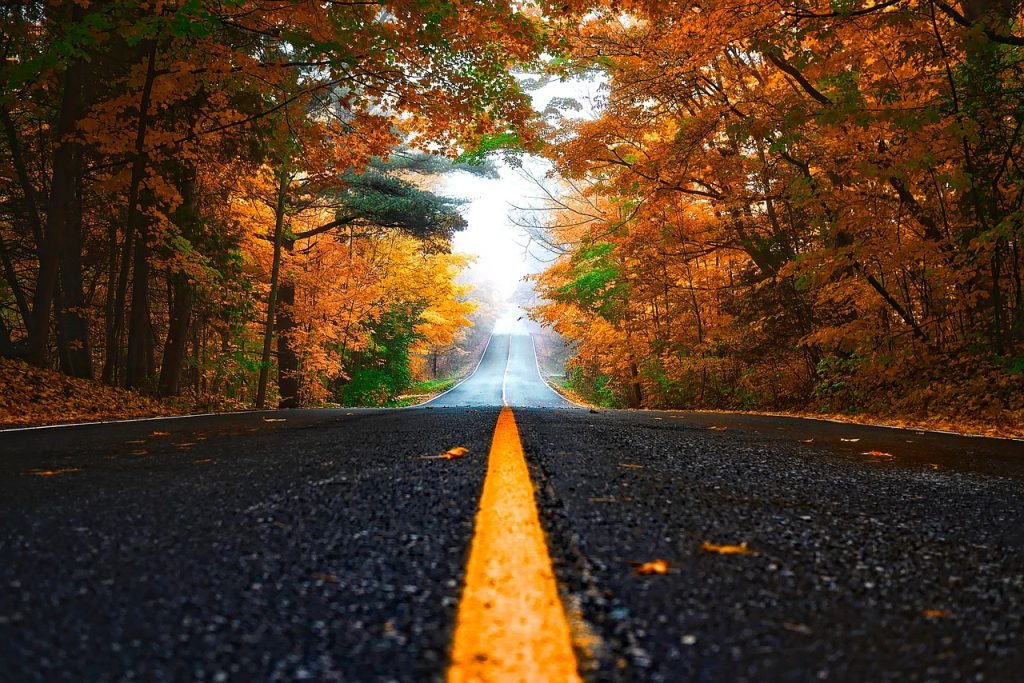 autumn, street, leaves-1758194.jpg