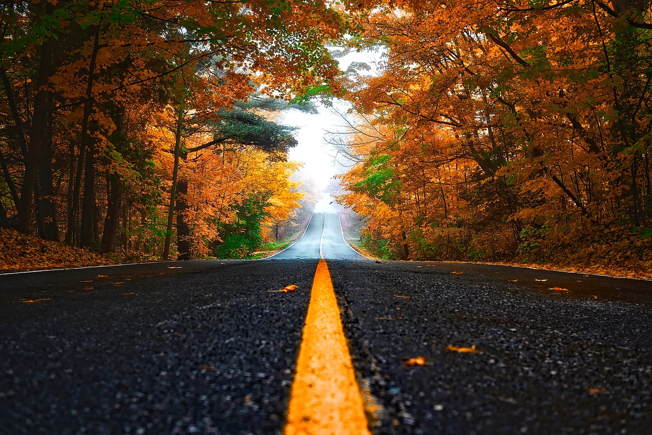 autumn, street, leaves-1758194.jpg