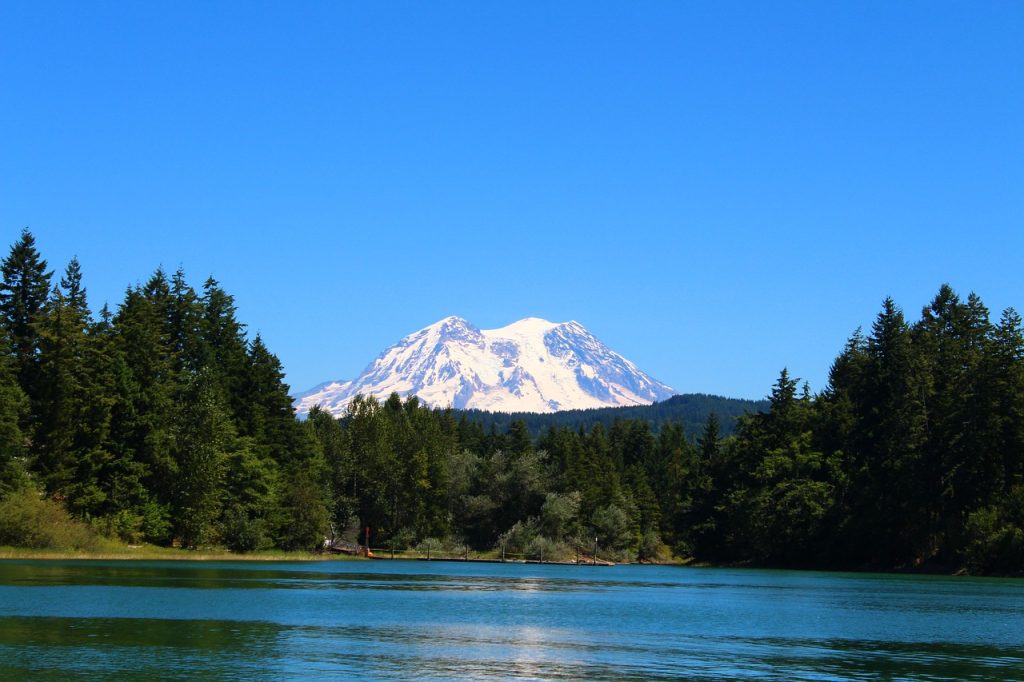 mountain, mt rainier, nature, lake, washington, mount-1030075.jpg