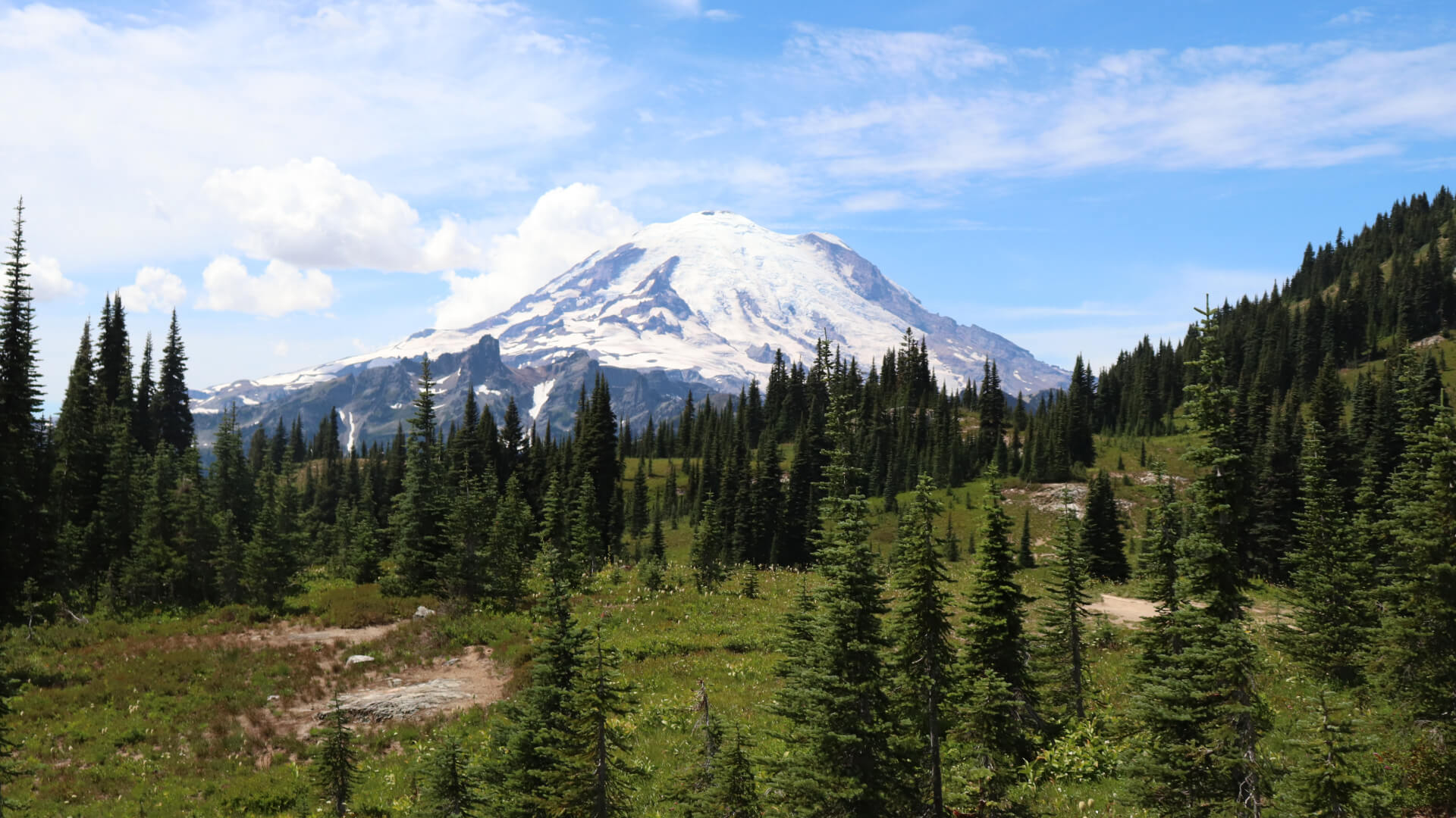 rainer-1