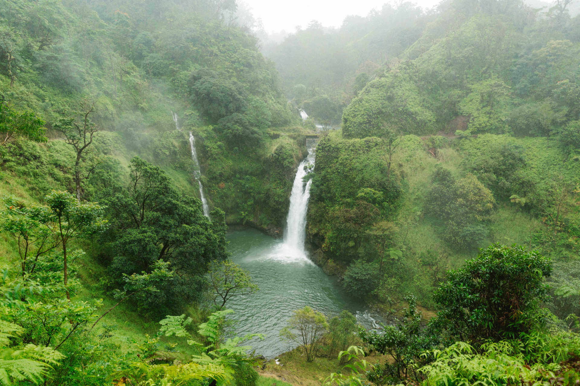 Waterfall in the rainforest along the Road to Hana