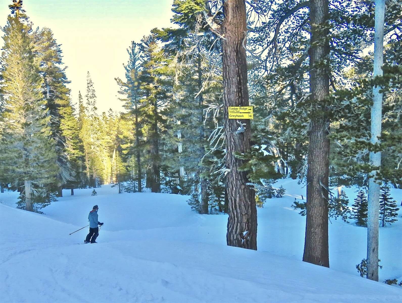 Timber Ridge Ski in Ski Out Rentals in Mammoth Lakes - Mammoth Lakes