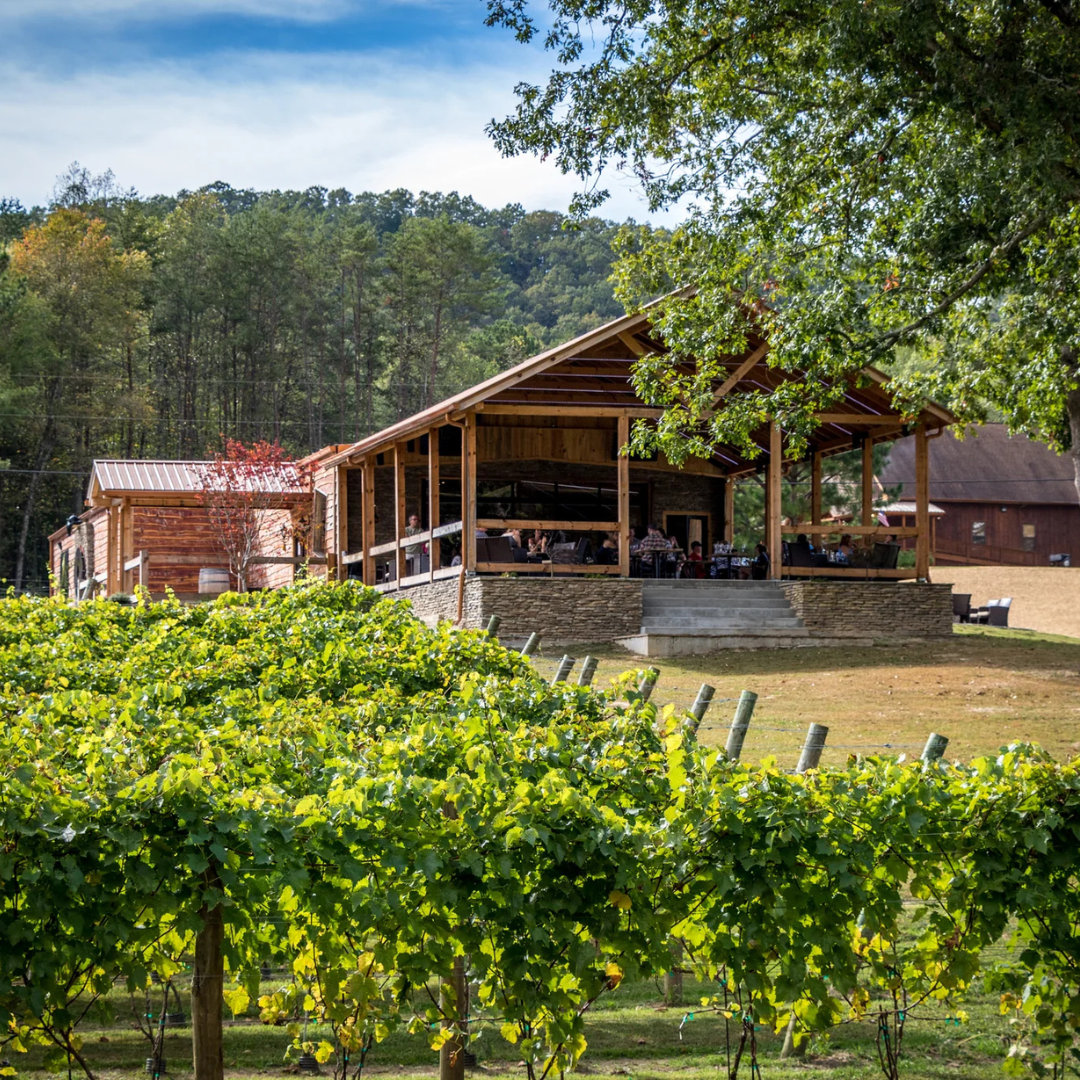 Top Wineries & Vineyards to Visit in Blue Ridge, Georgia 🍇