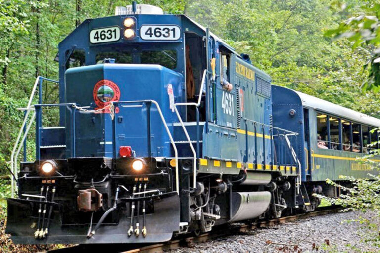 Blue Ridge Scenic Railway