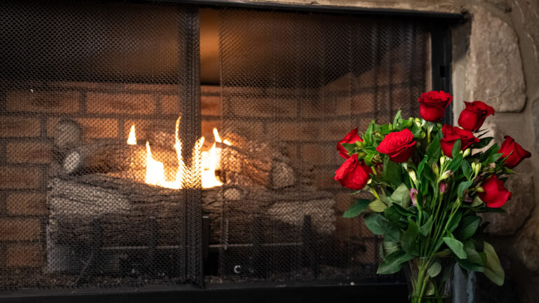 1 Dozen Red Roses