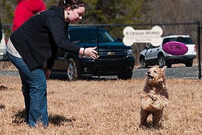 The Haven Off Leash Dog Park