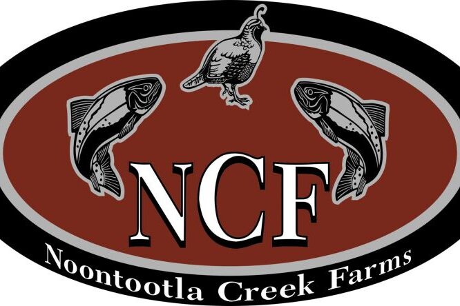 Noontootla Creek Farms