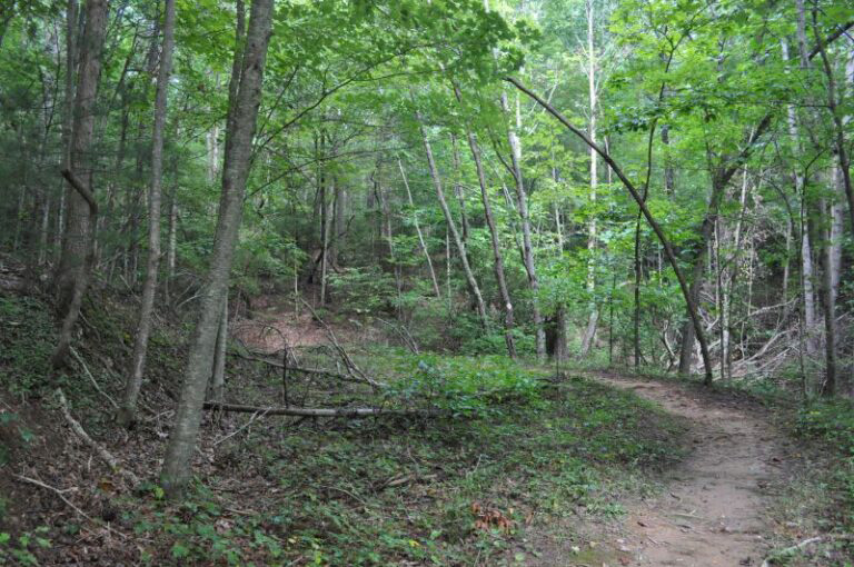 Hiking