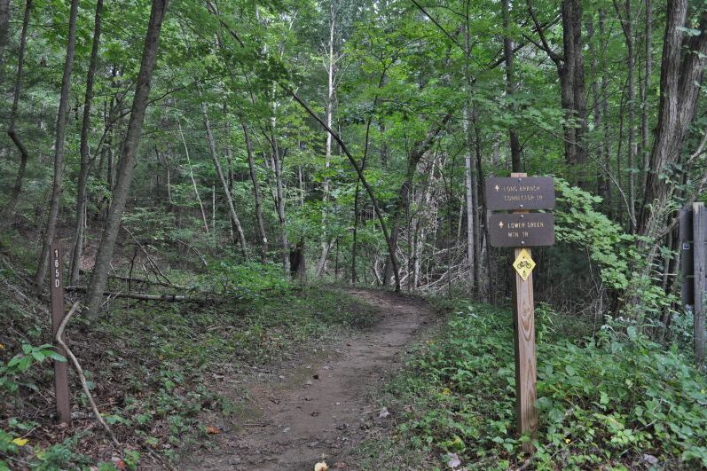 Long Branch Loop Trail