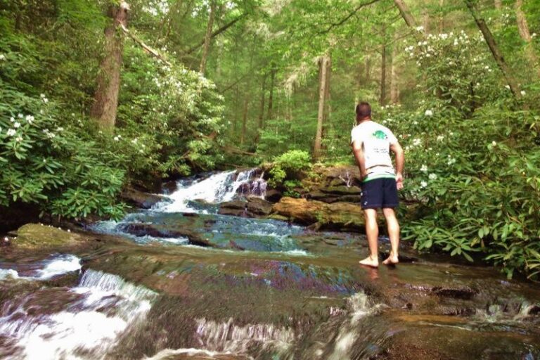 Sea Creek Falls
