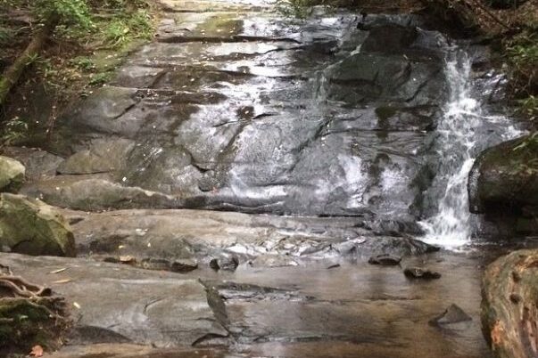 Fall Branch Falls