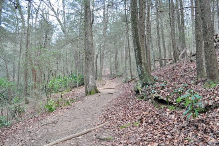 Stanley Gap Trail