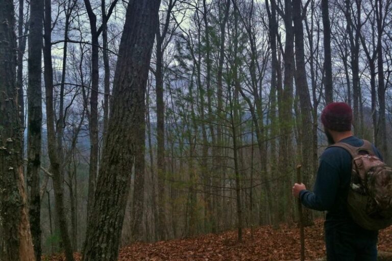 Hemp Top Trail