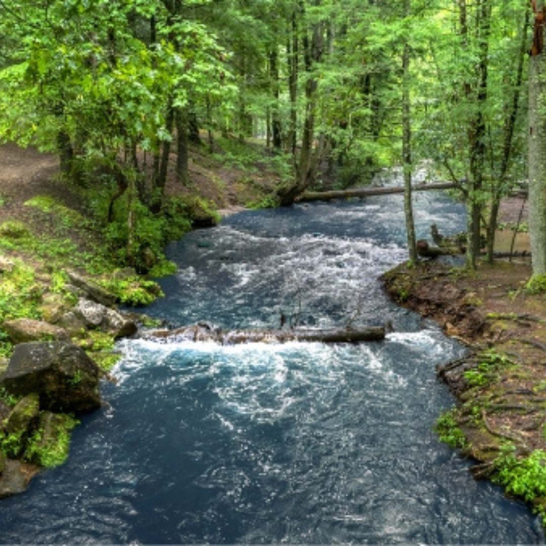 Unicoi State Park