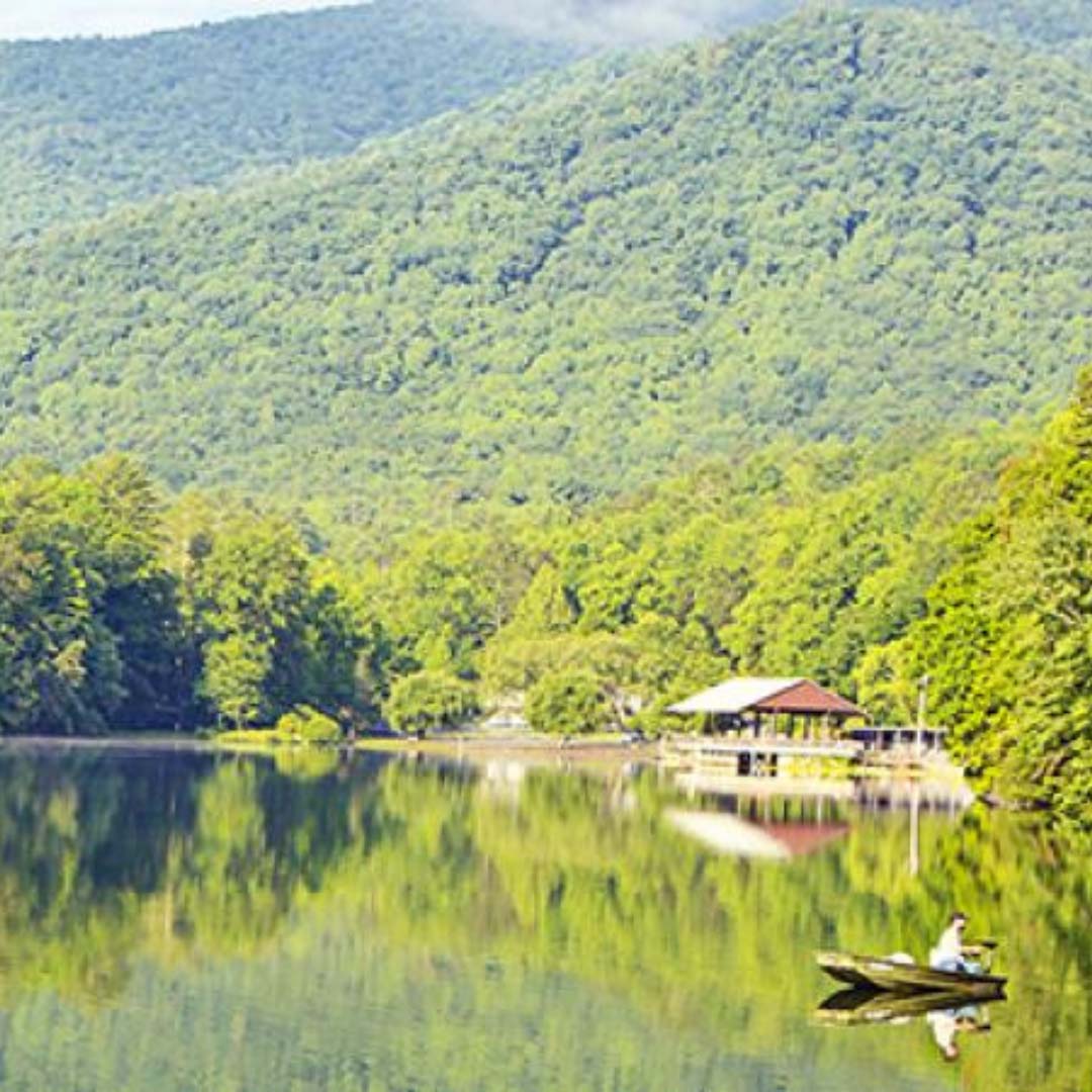 Vogel State Park