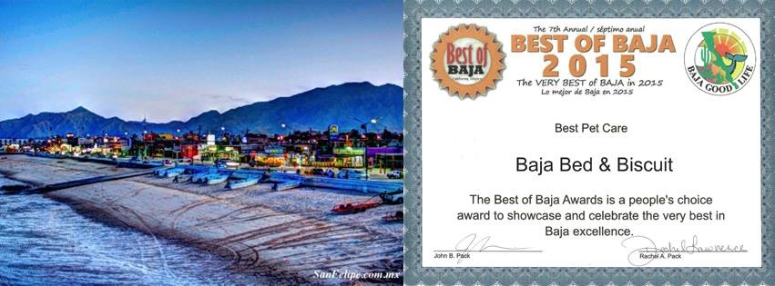 Premio Baja Bed and Biscuit San Felipe
