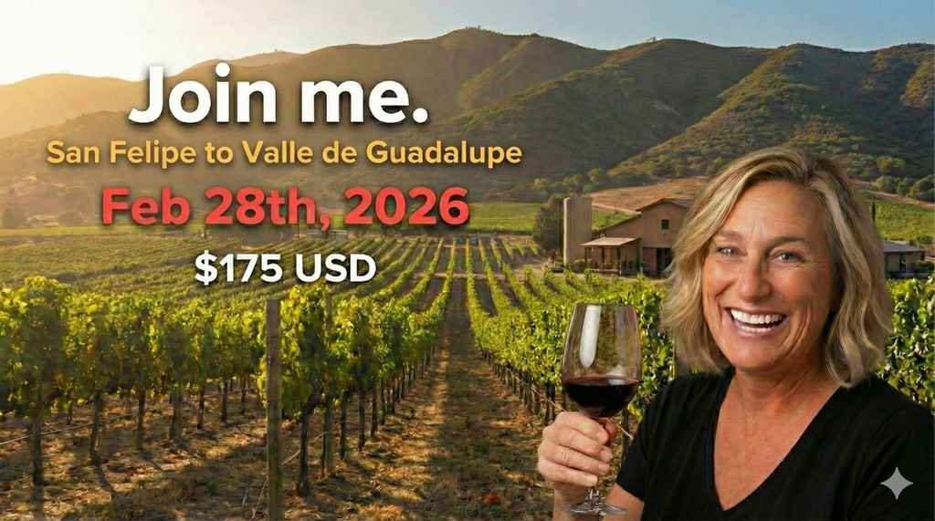 Banner de San Felipe Wine Express