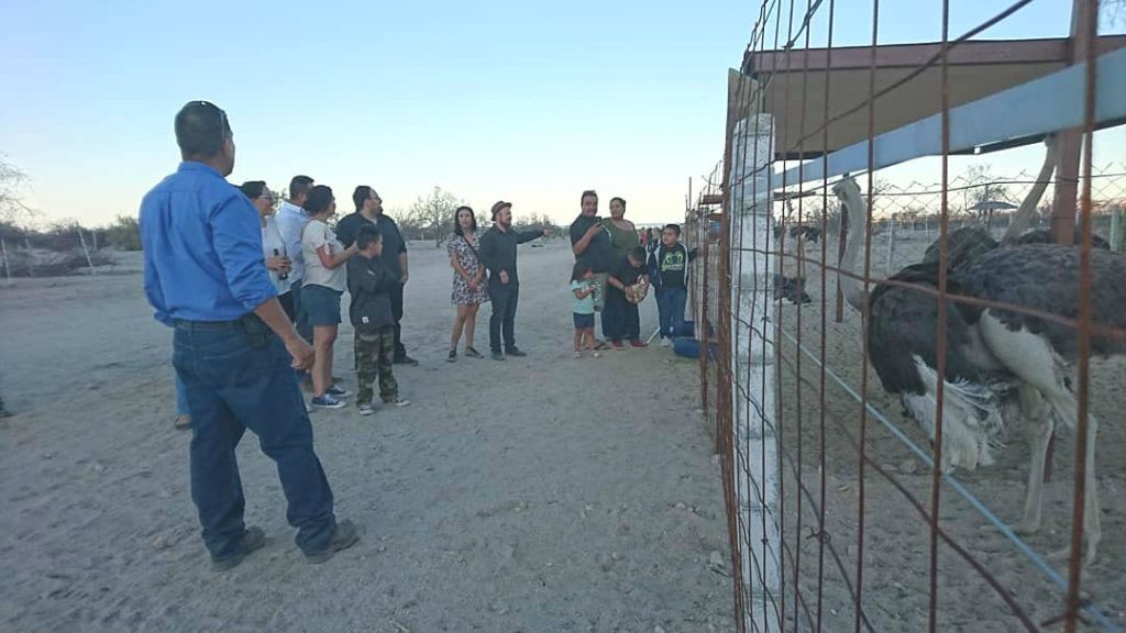 Invitado en Tour Granja de Avestruces San Felipe