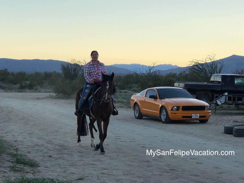 Cabalgatas en Rancho El Dorado San Felipe