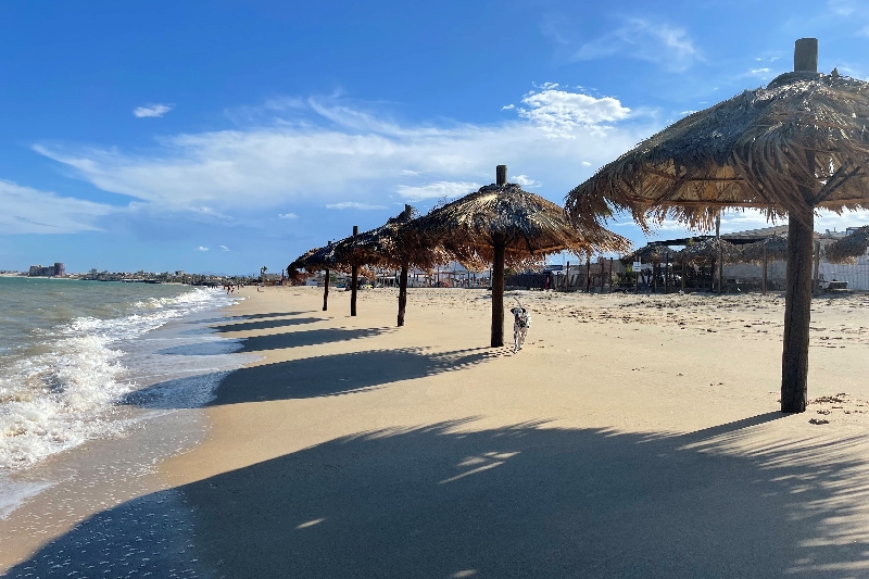 palapas-sunset-beach-san-felipe-vacaciones-baja-california