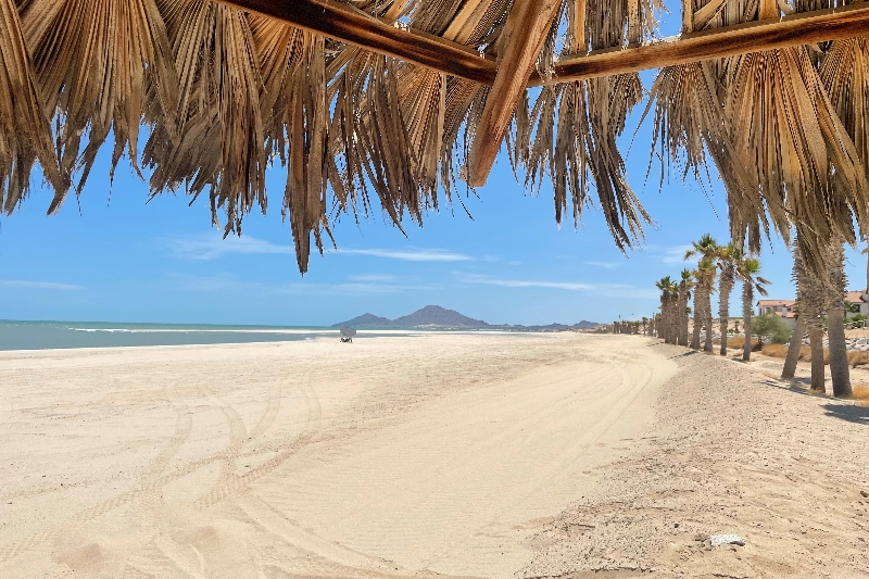 palapa-playa-vista-de-san-felipe-baja-california