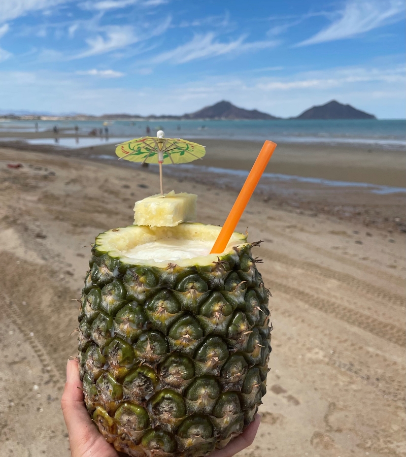 disfrutando-de-la-pina-en-la-playa-san-felipe-baja-california