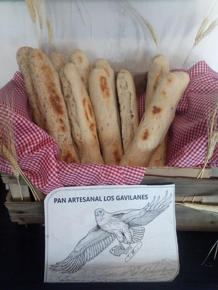 Pan fresco en cg cava boutique San Felipe
