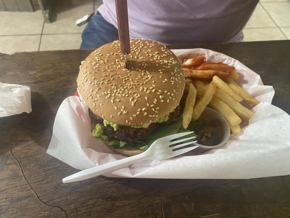 hamburguesa-de-coyote-y-ensaladas-san-felipe-hamburguesa-clasica-de-queso