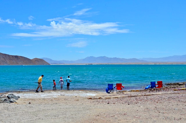 Pesca en la playa Papa Fernandez