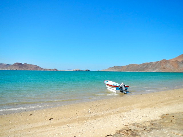 Panga Boat en aguas de la bahía de Gonzaga