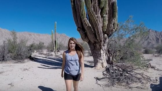 Actividades y atracciones en San Felipe