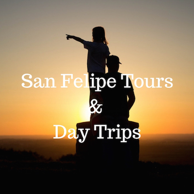 Tours y excursiones de un día en San Felipe