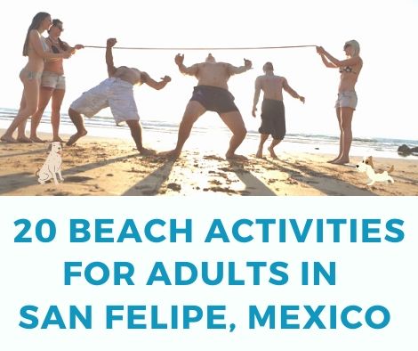 20 actividades divertidas para adultos en la playa