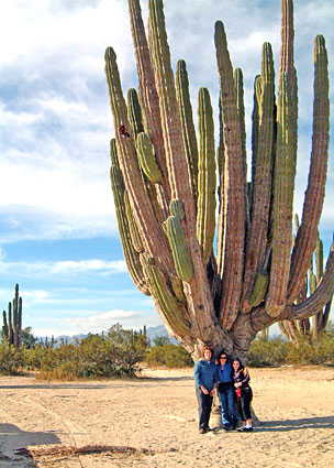 Valle de los gigantes