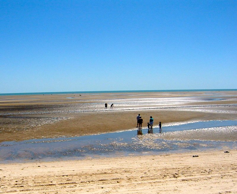 Familia de almejas en San Felipe México