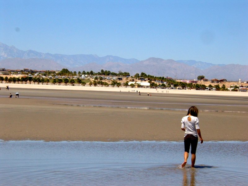 Almejas en el Dorado Ranch playa San Felipe