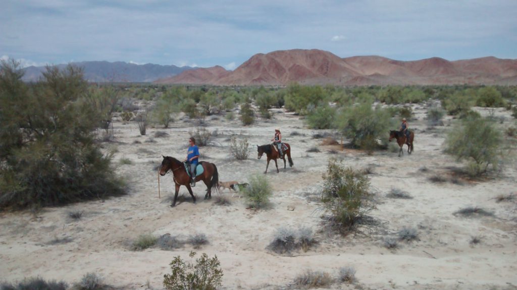paseos a caballo en San Felipe, México
