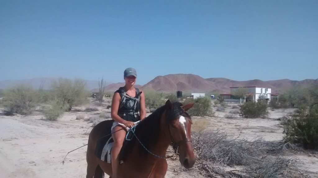 san felipe baja outback cabalgatas