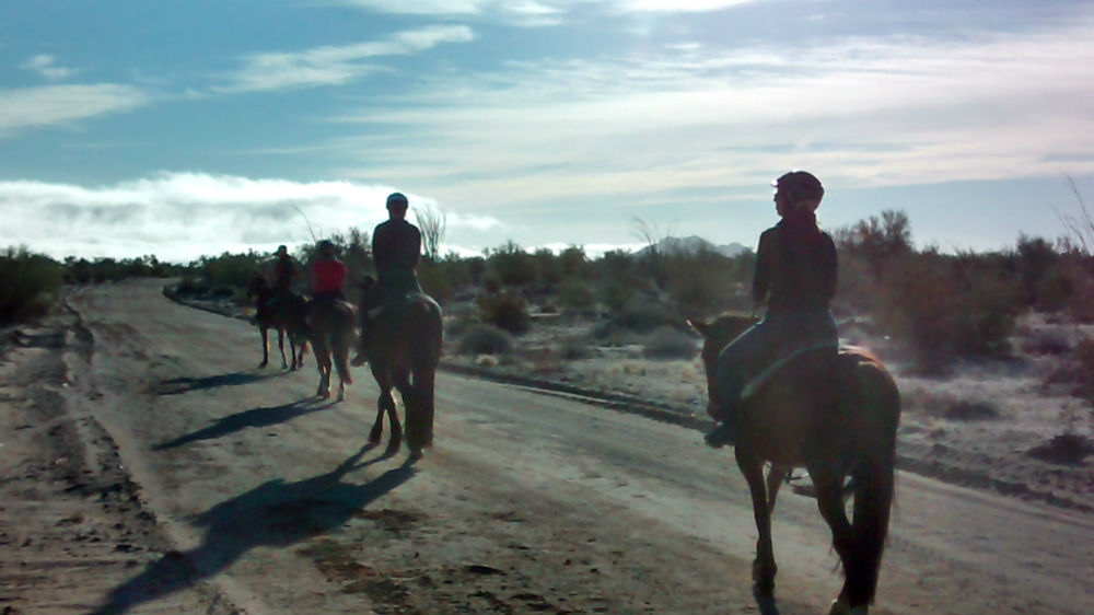 Paseos a caballo guiados en San Felipe Baja