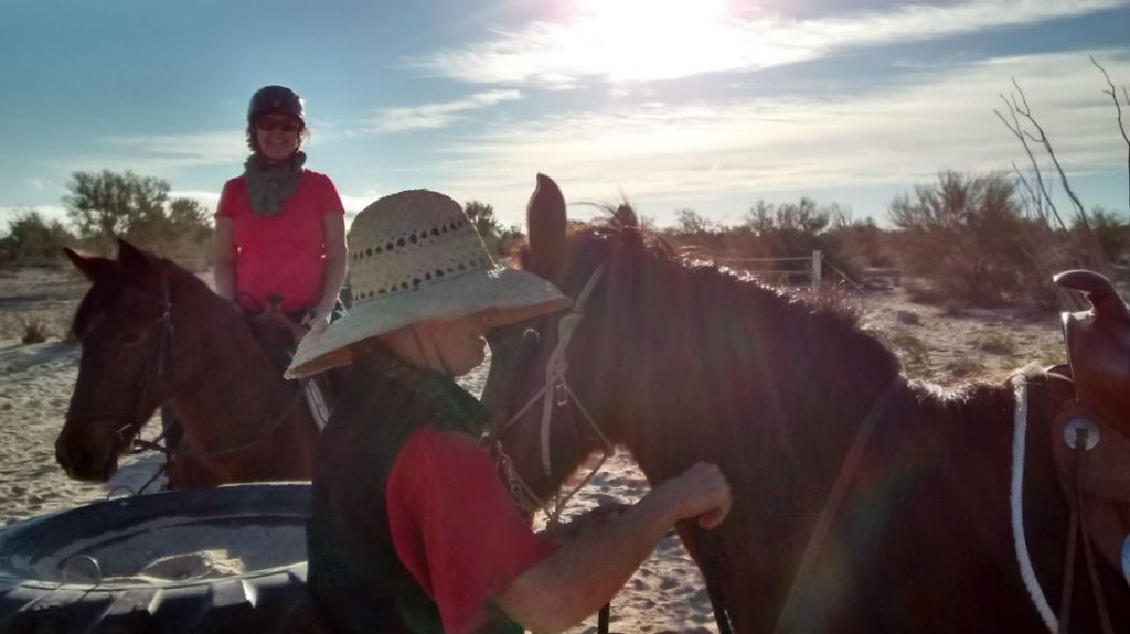 Renta de caballos en San Felipe México