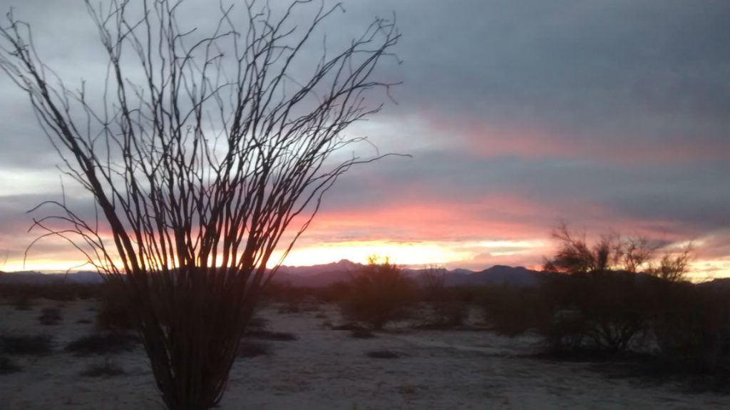 Paseos por el sendero de alquiler de caballos al atardecer en San Felipe