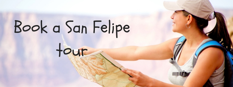 Reserve un tour por San Felipe
