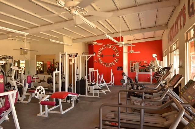 Molino de la banda de rodadura del gimnasio Squatts 