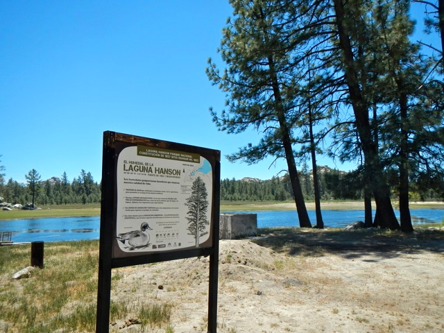 Signo de Laguna Hanson