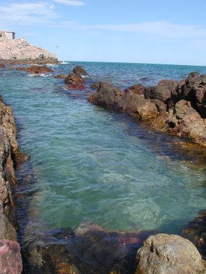 Excursión de un día desde San Felipe a Puetecitos Hot Prings
